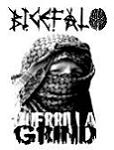 Avatar do Utilizador