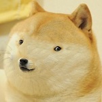 Avatar do Utilizador
