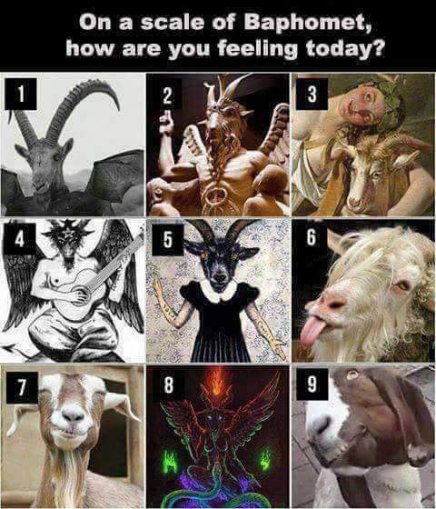 FB_IMG_1508159872774.jpg